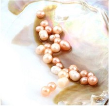 25 Natural Pearls with 5-7mm Big Freshwater Cultured Pearl 1 Vacuum Pack Oyster