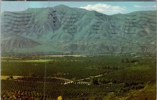 Vintage Ojai Valley Ventura County California Postcard 1951 Scenic View