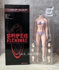 TBLeague Phicen Female Seamless MID bust body w/ Steel Skeleton Pale 1/6 S22A