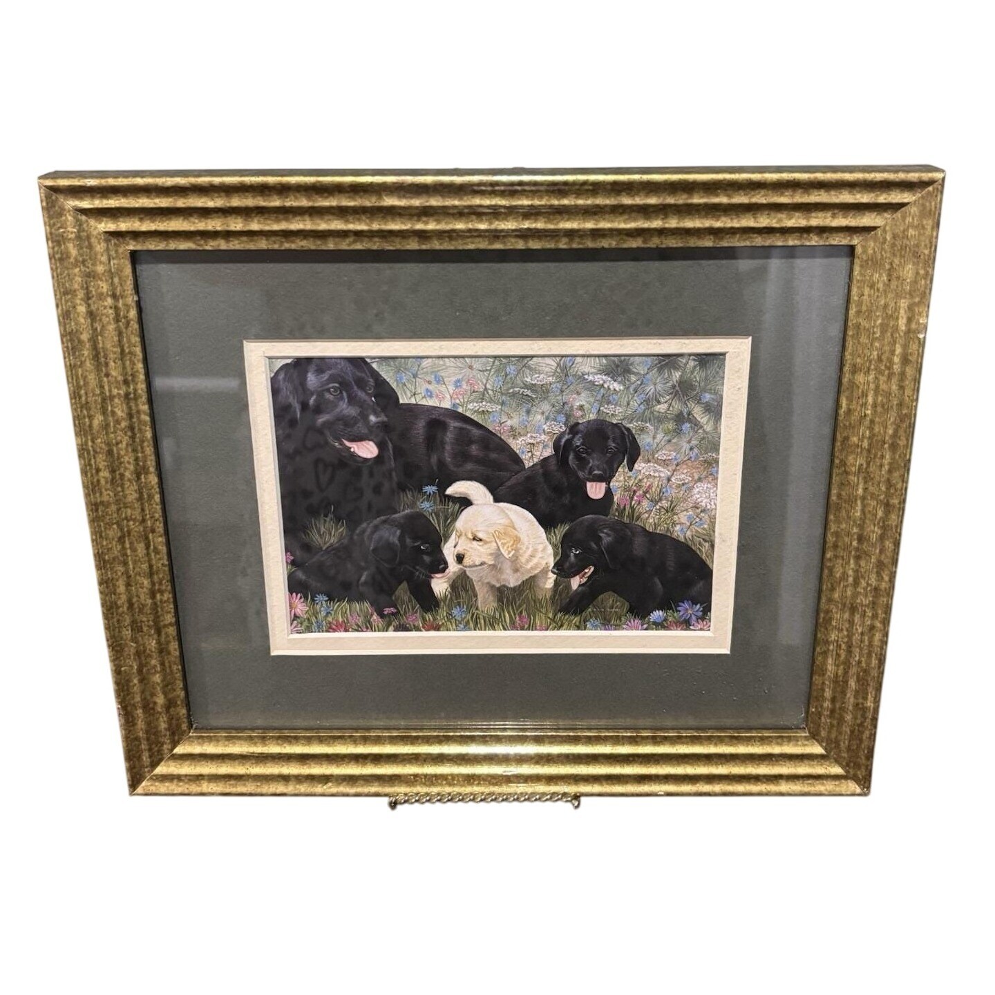 Foto 1 di 7