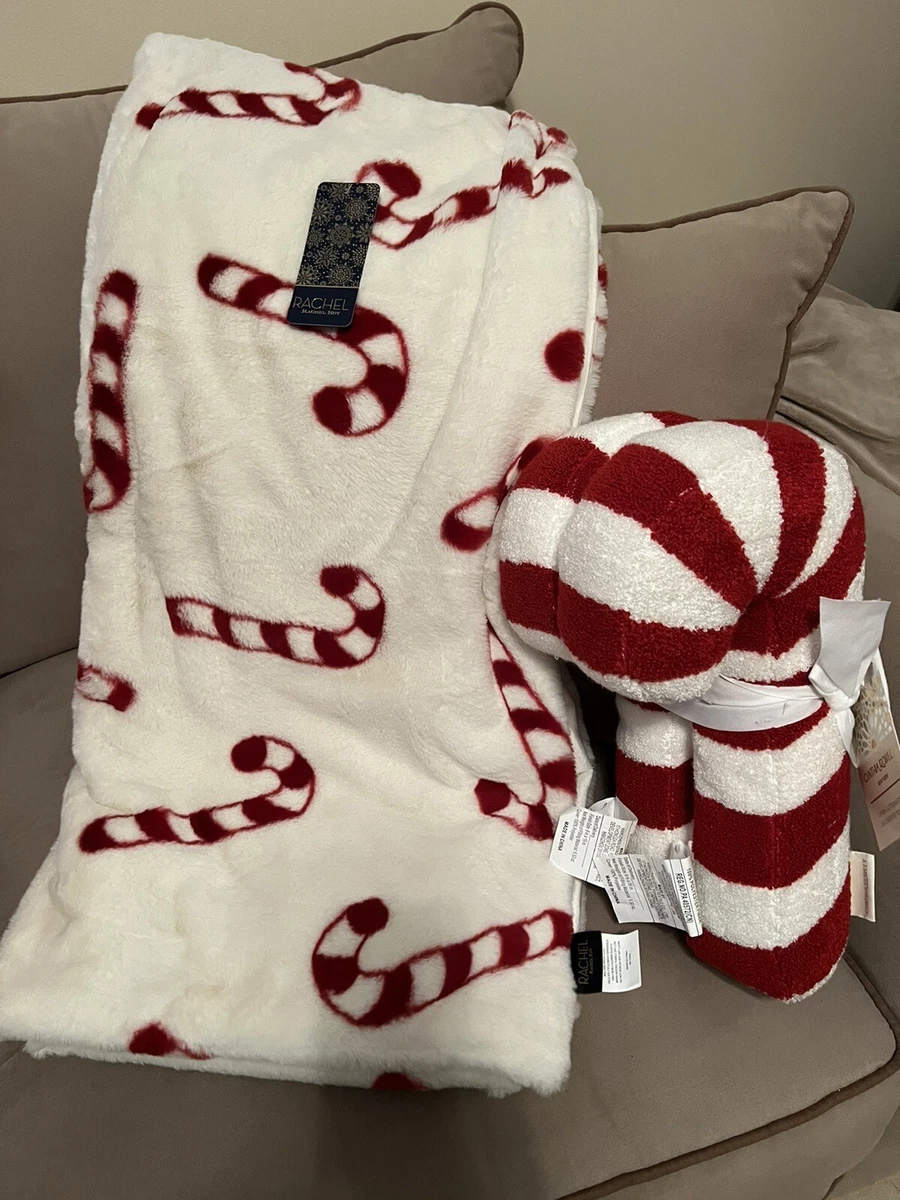 4 brand new Rachel Roy down throw pillows - Household Items