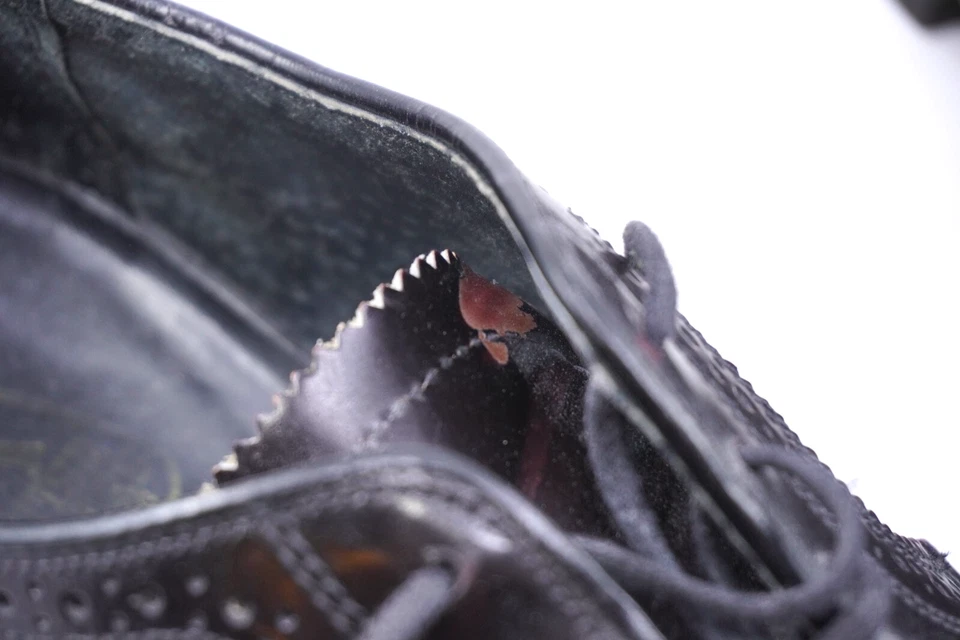 Vtg 60's British Walkers Mens Sz 9 D Shell Cordovan Leather Shoe Wingtip Brogue - Image 4 of 4