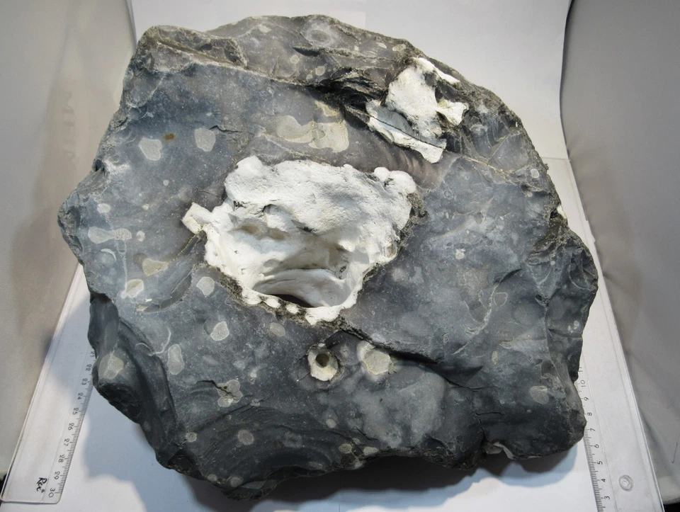 S210 XXL Hühnergott Loch Feuerstein mit Kreide 35x30x16cm 13,7Kg Møn Dänemark - Bild 3 von 4