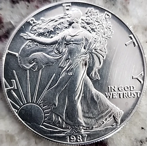 1987 American Silver Eagle Uncirculated 1oz .999 Fine Silver (B-1)