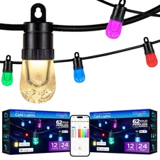 Enbrighten Vibe Smart Color Changing String Lights, 24ft Black Cord, 12 Shatt...