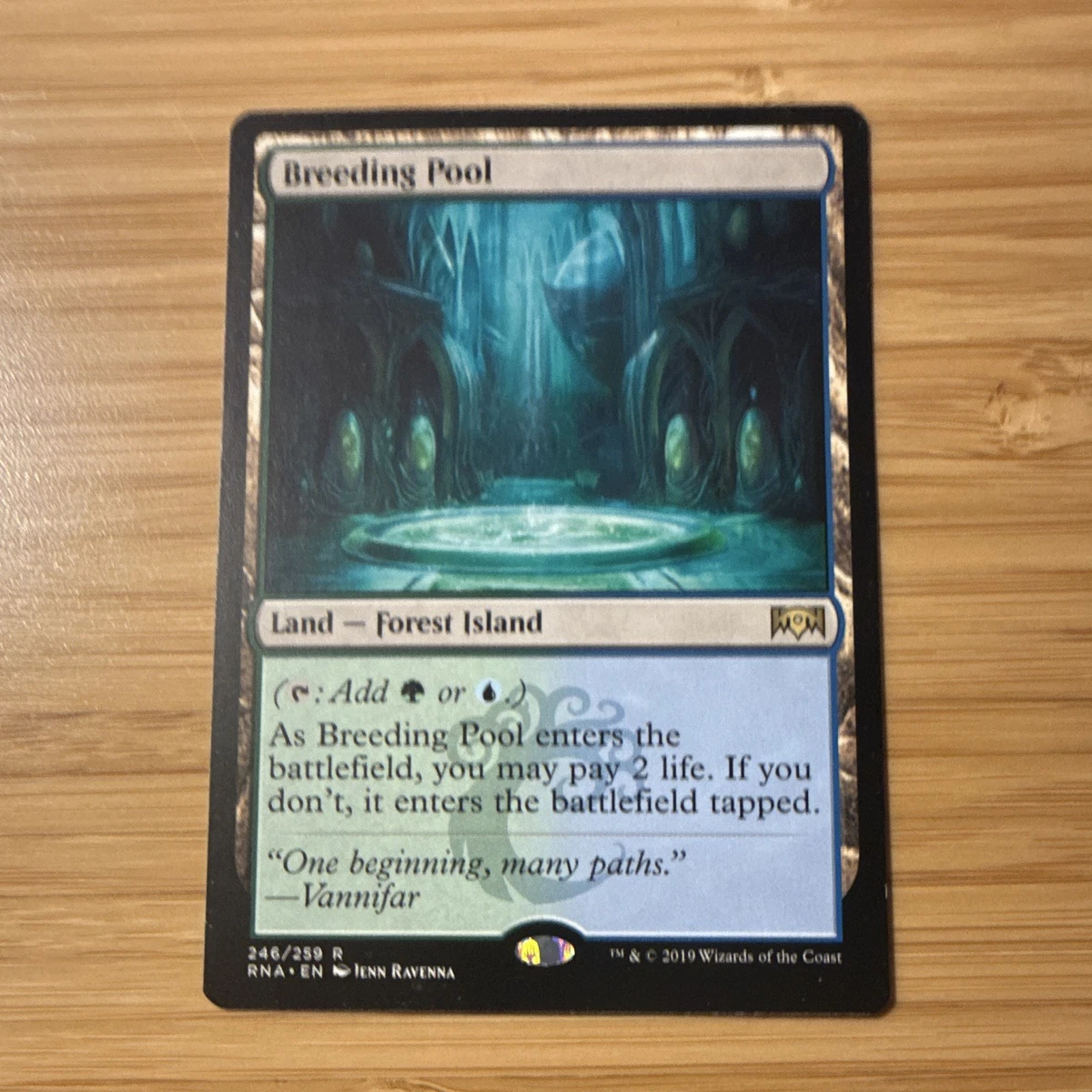 Breeding Pool for sale | eBay
