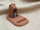 🩵🌿  Capybara Cuteness Overload Gift Box!🌿🩵 — photo 3