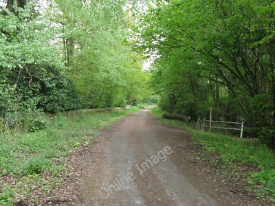 Foto 6x4 Grenzwand in Warnham Park Horsham\/TQ1731 um 2010