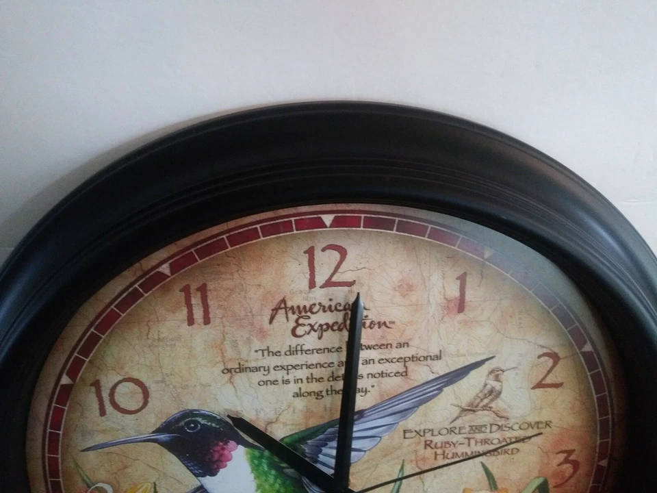 Reloj Colibrí American Expedition 16 Pulgadas COMO ESTÁ Foto 2 de 3