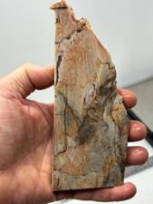 Gary Green Caldera Freedom Jasper Slab Cabbing Lapidary Combo Ship Avail