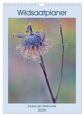 Wildsaatplaner - Zauber der Wildfrüchte (Wandkalender 2025 DIN A4 hoch), CALVEND
