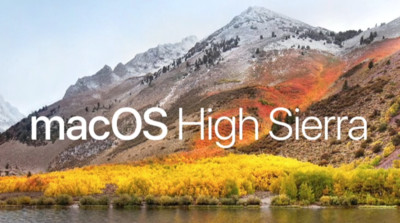 OSX 10.13 HIGH SIERRA  2.5'' 60GB-PLUG & PLAY-PERSONALLY PROGRAMMED 