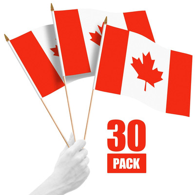 30 Pack Handheld Canada Canadian Stick Flags 12x18 In Printed 150D