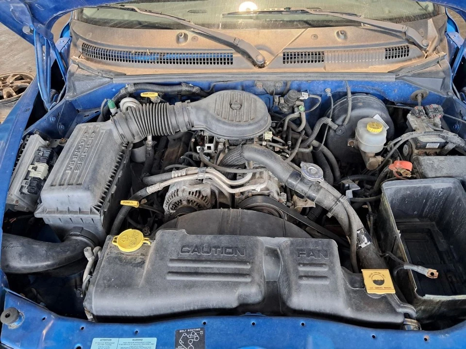 2000 Dodge Dakota Driver Front Door 2DR PU Blue Used Local Pick Up Only Foto 2 de 4