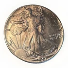 1987 American Eagle Toned Walking Liberty