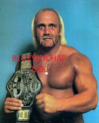 HULK HOGAN WRESTLER X 10 WRESTLING PHOTO WCW