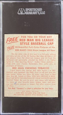 how do you grow tobacco seeds Help growing tobacco, everything you need to know how do you grow tobacco seeds Help growing tobacco, everything you need to know