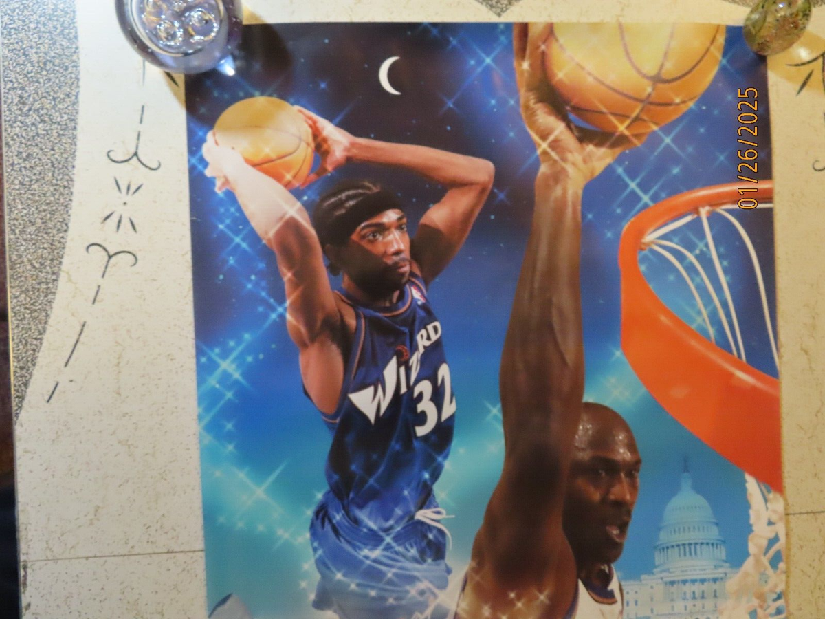 2001 Starline Richard Rip Hamilton Michael Jordan Wizards 22