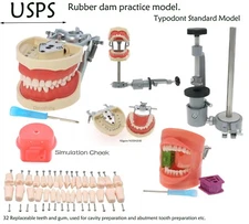 US Kilgore Nissin 200 Type Dental 32 Teeth Removeable Model & Mounting Pole
