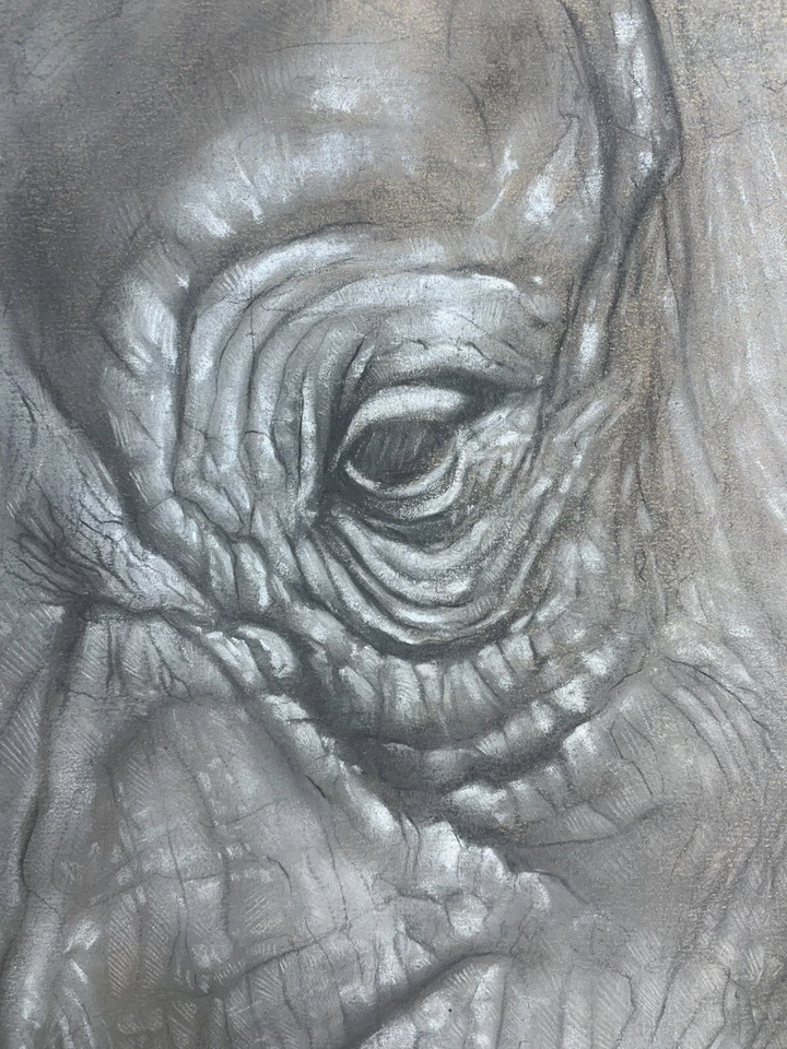 Rhino Charcoal ART Original Foto 2 de 4