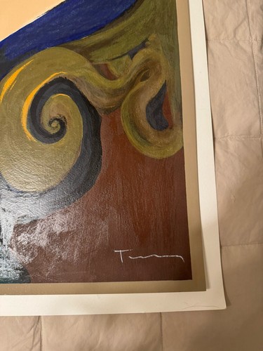 Itzchak Tarkay “Nichole” Signed and numbered 210/350 - Picture 3 of 6