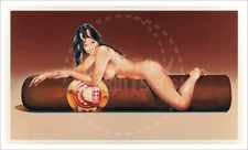 ADULT - FAMOUS ARTISTS - MEL RAMOS - HAV-A-HAVANA