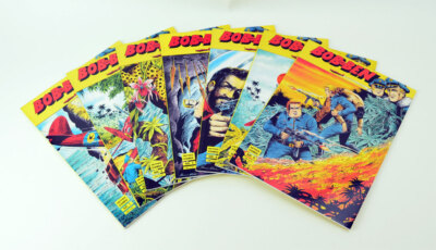 Zur Auswahl: Bob und Ben Band 1 - 8 Hethke