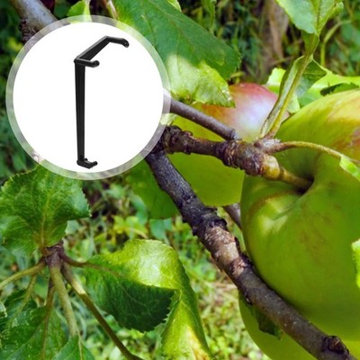  50 Pcs Branch -Picker Fruchtastverteilerformen Fruchtzweig Bildet