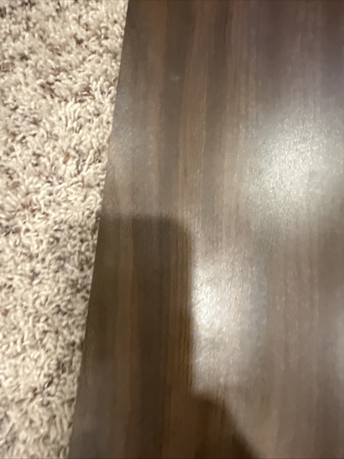 Cleveland Indians Vintage 1995 American League Champions Team Plaque. Most Wins!