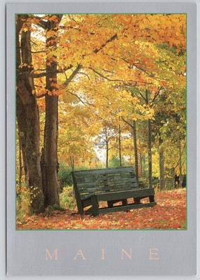 Park Bench Autumn Foliage Northeast Harbor ME Maine Fall Scene Postcard