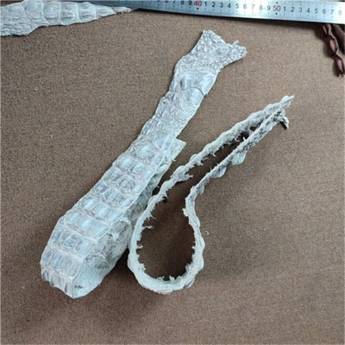 2X Real Alligator Crocodile Leather Bone Genuine Skin Hide Pelt DIY Craft White - Picture 7 of 12