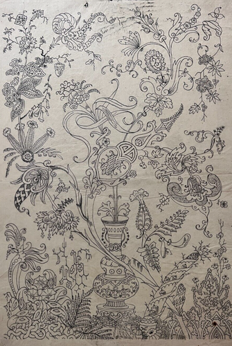 Antique Drawing Original Botanical Flowering Plant, Floral 19th century