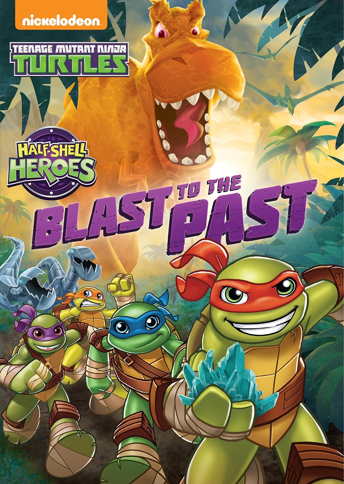 Teenage Mutant Ninja Turtles: Half-Shell Heroes: Blast to the Past (DVD)