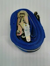 ANCRA 48672-15 Logistic Ratchet Buckle Strap 20" x 2" Capacity 1000 lbs