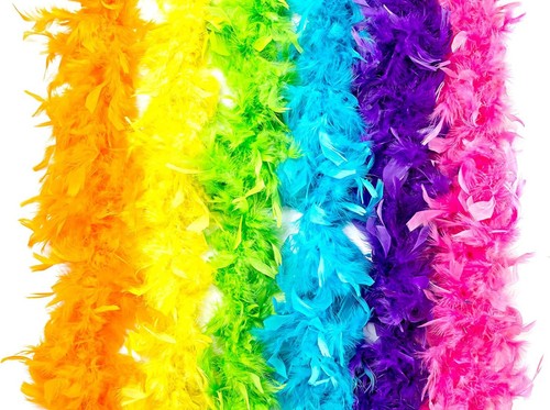 Neon Feather Boas - 6 Pack of 6 Feet Long Boas with Feathers - Party Favors