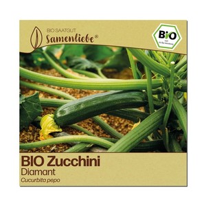 bio saatgut gemüse BIO-Saatgut-Set gemüse – 6 samenfeste Gemüsesorten für den