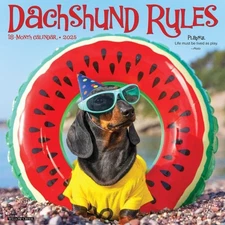 Willow Creek Press Calendars, Dachshund Rules 2025 Wall Calendar