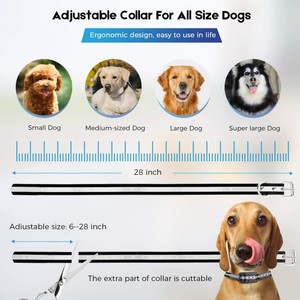 wireless dog fence ebay
