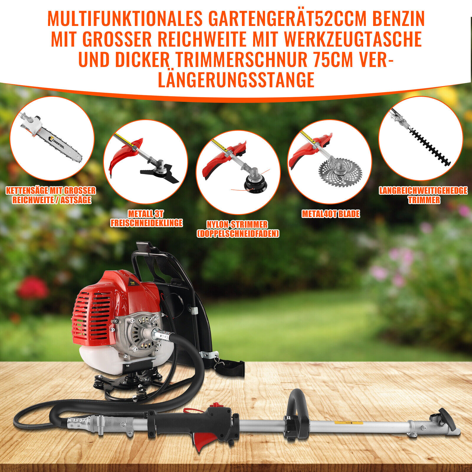 Bild 3 von 12