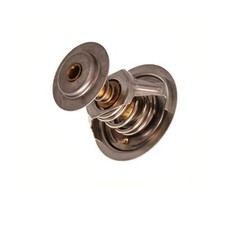 Thermostat Jaguar E