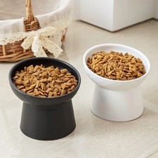 Ceramic Raised Tilted Cat Bowls Set of 2, Elevated Porcelain Feeder