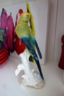Bild 9 von 9