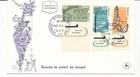 D72517 Buildings Architecture FDC Israel 1961