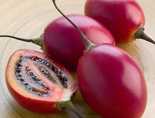 Tamarillo, (Tree Tomato), Cyphomandra betacea, Tree Seeds