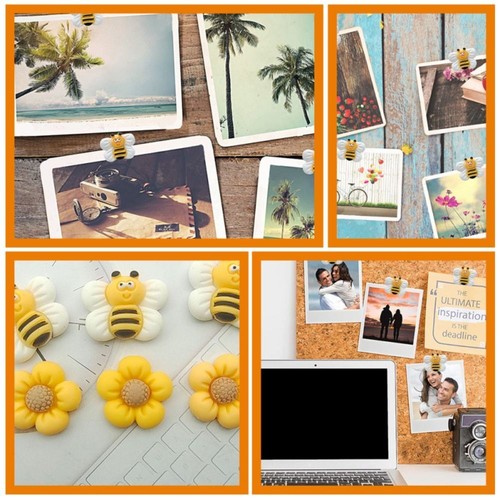 Cork Board School Office Board Pins Thumb Tacks Wall Studs Bee Tacks Push Pins - Picture 5 of 7
