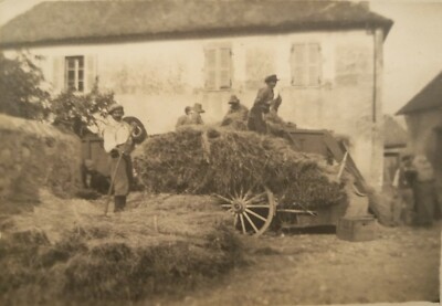 OLD PHOTO farm life, 1920, black and white, vintage photo