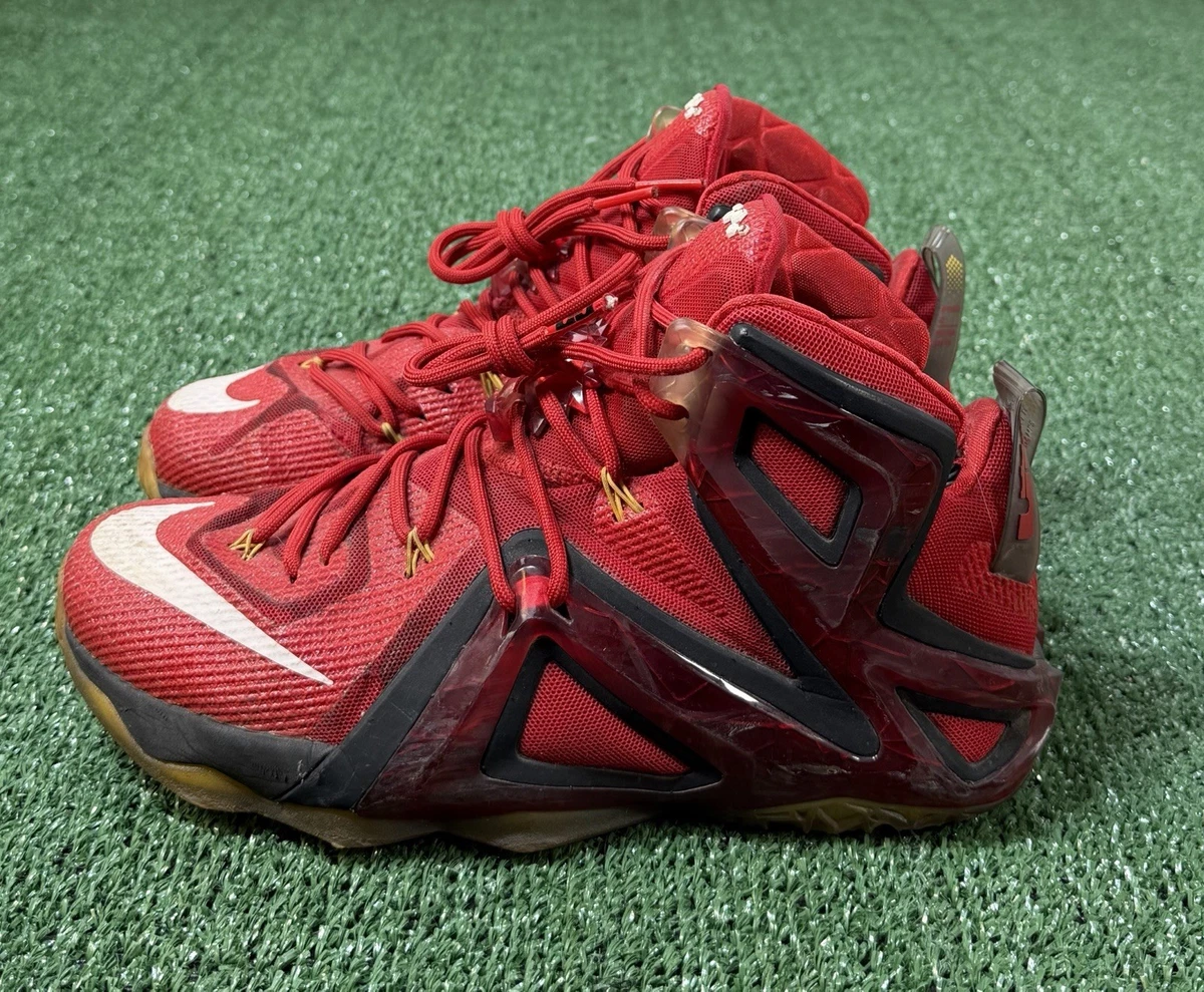 Nike LeBron 12 Elite Team for Sale | Authenticity Guaranteed | eBay