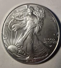 2024 Silver Eagle $1 Dollar 1oz Uncirculated .999 MS-Brilliant Uncirculated..