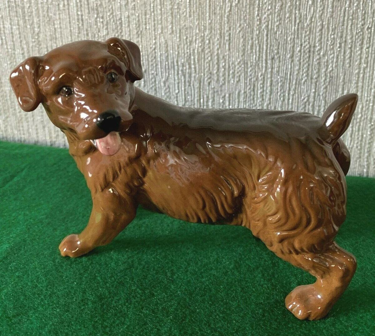 Royal terrier cheap