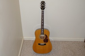 Epiphone Pr350 | eBay